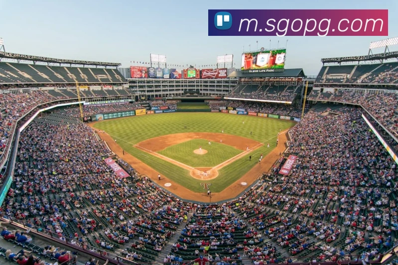 pg官网平台生态图